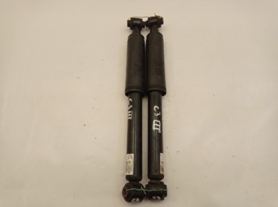 Citroen c3 iii амортизатор задняя 9811392680 фото №1