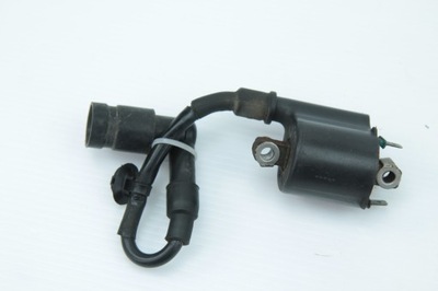 HONDA PCX 125 10-13 CEWKA FAJKA