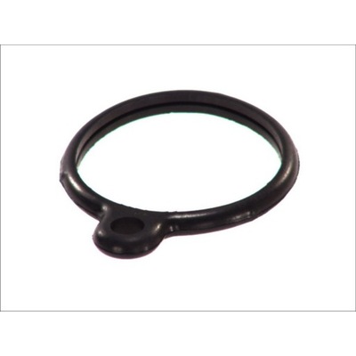 Прокладка термостата 123 g mb t1 t2 g-modell фото №1