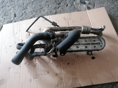 RADIATOR EXHAUST GASES VOLKSWAGEN GOLF V 038131513AD  