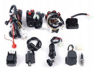 COMPLETE SET WIRE ASSEMBLY WIRES QUAD ATV 150-250 300CC  