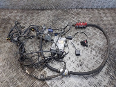 Электропроводка газовая lpg omvl dream xxi tomasetto at09 valtek фото №1