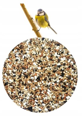 Karma dla ptaków Nasiona Oleiste DZWOŃCE 25 kg