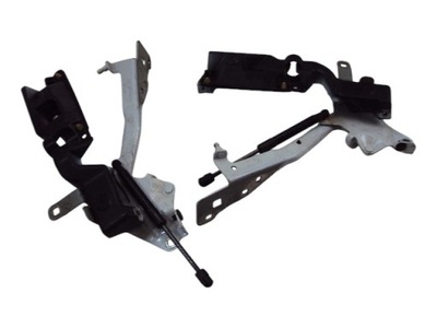 Петлі капот renault scenic iii фото №1