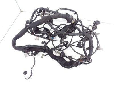 Джгут двигуна mercedes-benz r w251 6421506733 фото №1