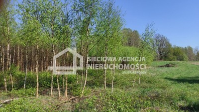 Działka, Stary Barkoczyn, 3134 m²