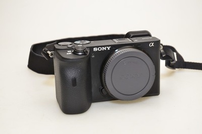 Aparat fotograficzny Sony Alpha A6600 korpus