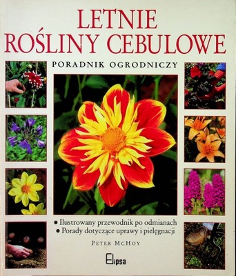 Letnie rośliny cebulowe