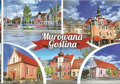 MUROWANA GOŚLINA