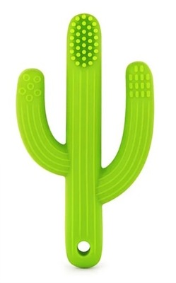 Szczoteczka treningowa gryzak Kaktus