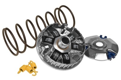 Wariator Polini, Honda NSC 50 R 4T / Vision 50 4T