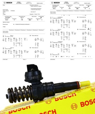 FUEL PUMP AND INJECTOR 038130073AC 0414720029 1.9 TDI  