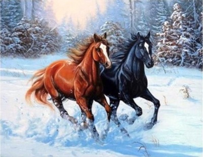 Malowanie po numerach ramka obrazy do malowania konie w galopie 50x40cm
