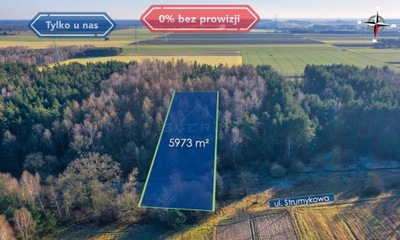 Działka, Borowe, 5973 m²