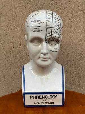 GŁOWA MEDYCZNA Z PORCELANY PHRENOLOGY 30 CM