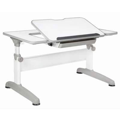 Mayer Ergonomiczne biurko regulowane Uniq