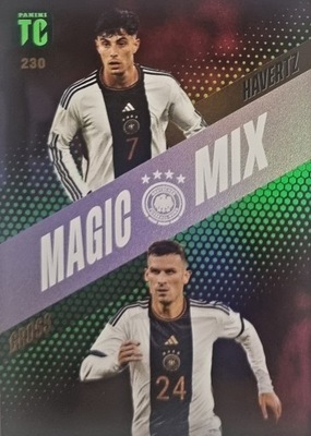 TOP CLASS 2024 MAGIC MIX 230 HAVERTZ GROSS