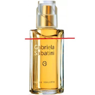 GABRIELA SABATINI PARFUM DEODORANT 75 ML