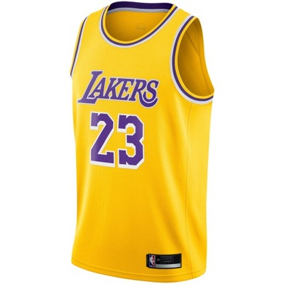 Koszulka bez rękawów LeBron James Los Angeles Lakers