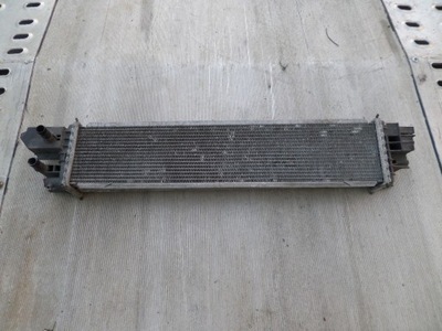 Інтеркулер renault trafic iii 2,0 dci фото №1