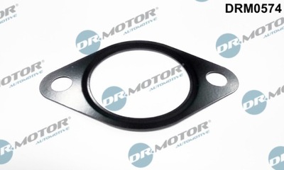 DR.MOTOR DRM0574 УПЛОТНЕНИЕ, КЛАПАН AGR