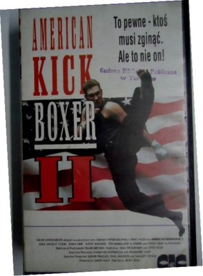 American Kick Boxer II