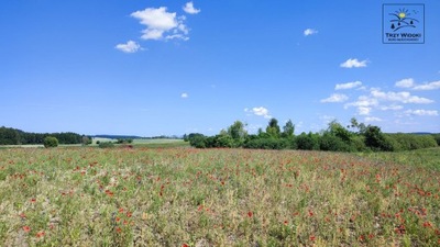 Działka, Trąbki Wielkie, 3004 m²