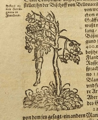 1614 Kosmografia Munster Galia 351-352