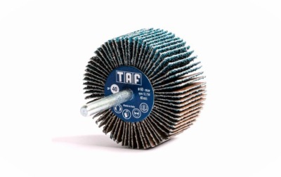 Ściernica LISTKOWA TRZPIENIOWA - TAF Italy - 40x20 P 80