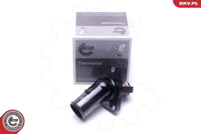 TERMOSTATAS LEXUS IS C 250 09-15 