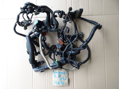 Жгут двигателя renault koleos i 2,0 dci фото №1