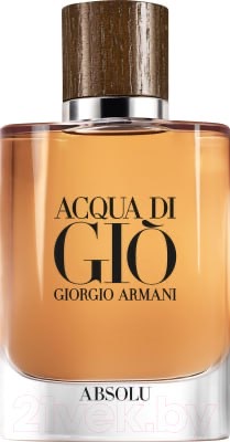 Giorgio Armani Acqua di Gio Absolu 100ml EDP