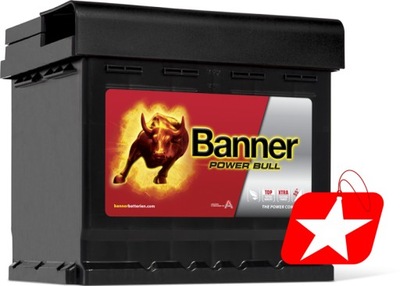 BANNER POWER BULL P5003 12V 50Ah 450A 