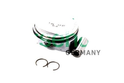 Borsehung поршень kpl 82.51 oct sup bzb фото №1