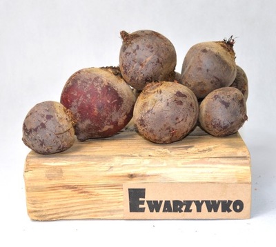 BURAK CZERWONY - ŚWIEŻE