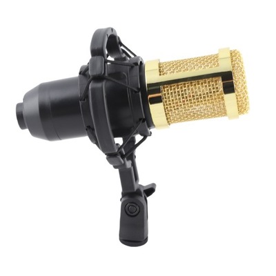 Przewodowy mikrofon pojemnościowy XLR do profesjonalnego mikrofonu do 9I