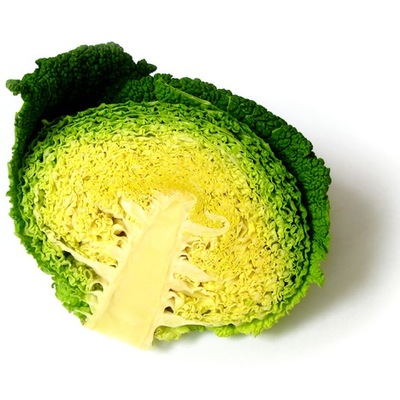 KAPUSTA WŁOSKA WERTUS 2 NA GOŁABKI I NIE TYLKO