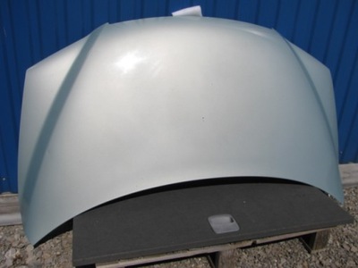 Капот кришка двигуна multipla lift 745 bielsko фото №1