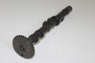 Kita KAWASAKI ZX-6R naujos ir naudotos pigios moto dalys