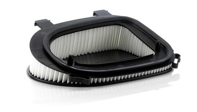 FILTRAS ORO BMW X3/X5/X6 08- C 36 014 