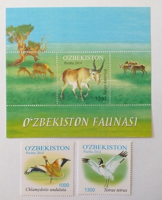 Fauna - Ptak - Ptaki - Uzbekistan