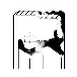 Кільце ущільнювальний ступиця 12016441b corteco фото №1