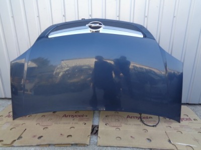 Opel meriva a 03-10 капот lift z168 решітка радіатора фото №1