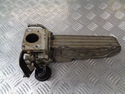 Радиатор выхлопных газов seat leon ii 1.9 tdi 038131513ad фото №1