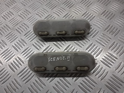 Ліхтарі стельовий renault scenic ii 8200073234 фото №1