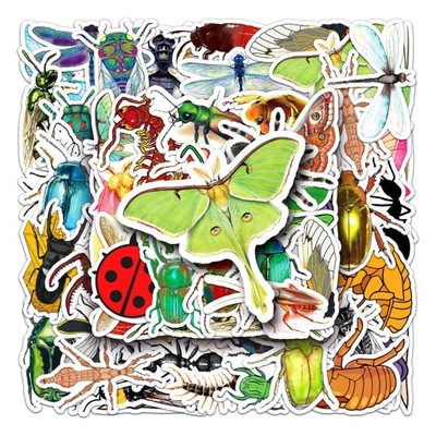 100 PCS Cartoon Insect Animal Creative Trend Graff 