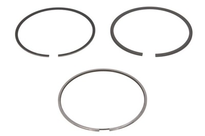 Набор колец поршня 120037007000. ne фото №1