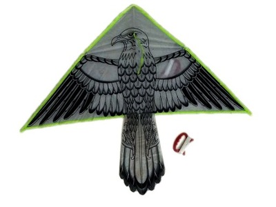 Latawiec Ptak Orzeł Odstraszacz Ptaków z Linką