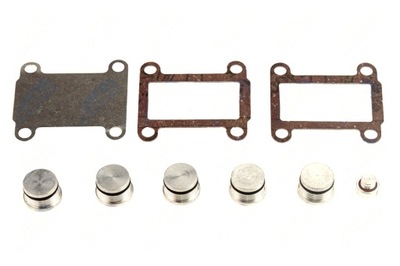 Заглушки колектор впускний bks-ft-007 фото №1