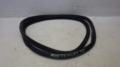 Прокладка дверь правый перед 308 ii t9 9677519680 фото №1